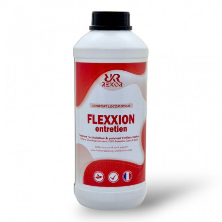 FLEXXION ENTRETIEN